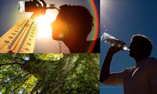 കേരളത്തിൽ വോട്ടെടുപ്പ് കൊടും ചൂടിൽ: 11 ജില്ലകളിൽ താപനില ഉയരുമെന്നും കാലാവസ്ഥാ കേന്ദ്രം മുന്നറിയിപ്പ്