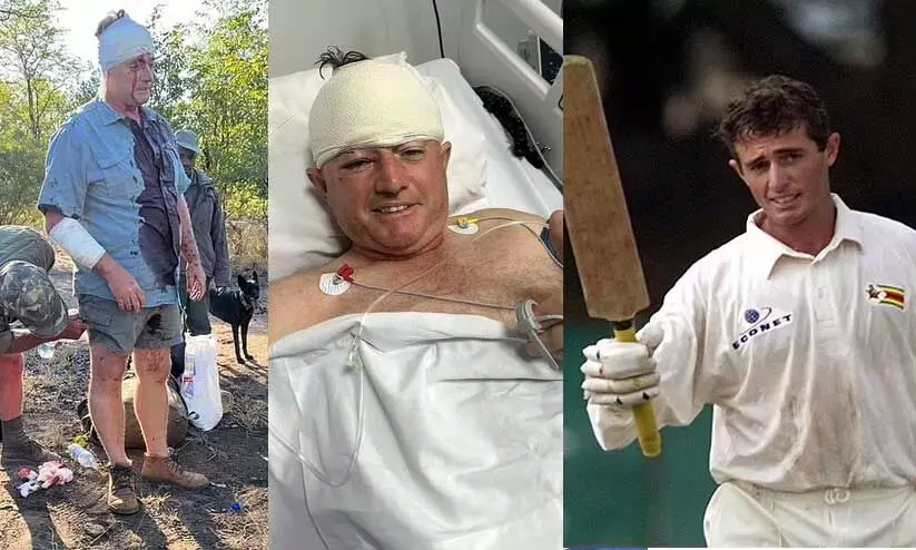 സിംബാബ്​‍വെ മുൻ ക്രിക്കറ്റർ ഗയ് വിറ്റാലിന് പുള്ളിപ്പുലി ആക്രമണത്തിൽ പരിക്ക്