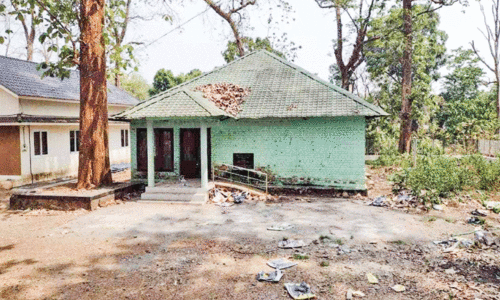 മലപ്പുറത്ത് വനത്തിനകത്തെ ഏക പോളിങ് ബൂത്തിൽ 461 വോട്ടർമാർ