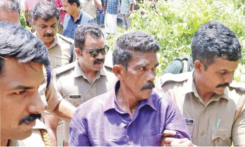 റോസമ്മയുടെ കൊലപാതകം: മരണകാരണം തലക്കേറ്റ ക്ഷതം