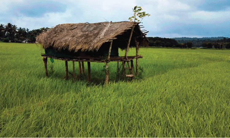 ബിരിയാണിച്ചെമ്പ് പൊട്ടിക്കുമ്പോഴുള്ള ഗന്ധം അതിലും മനോഹരമായി ആസ്വദിക്കാൻ ഇവിടെ എത്തിയാൽ മതി