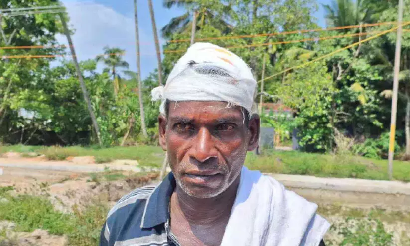 അന്തർ സംസ്ഥാന തൊഴിലാളിയുടെ ആക്രമണത്തില്‍ ഗൃഹനാഥന് പരിക്ക്