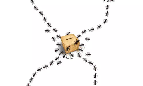 വെറുപ്പിനെതിരെ കേരളം ഇന്ന് ബൂത്തിൽ വെറുപ്പിനെതിരെ കേരളം ഇന്ന് ബൂത്തിൽ