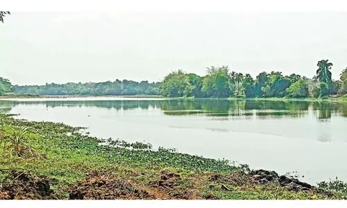 ഞാ​വ​ളി​ൻ ക​ട​വി​ൽ വെ​ള്ള​മെ​ത്തി; ജ​ല​വി​ത​ര​ണം തു​ട​ങ്ങി