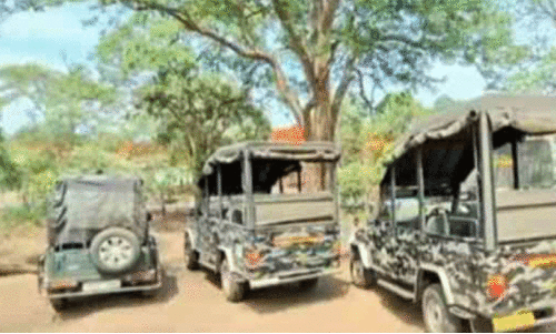 മു​തു​മ​ല