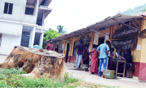 മലയോളം ആവേശം, ചൂടിനെ വീഴ്ത്തി വോട്ടാഘോഷം മലയോളം ആവേശം, ചൂടിനെ വീഴ്ത്തി വോട്ടാഘോഷം