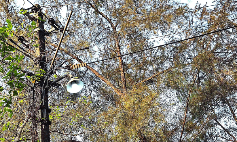 street light street light