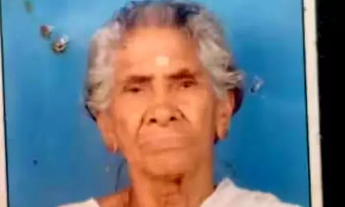 സൂര്യാതപമേറ്റ് പാലക്കാട് എലപ്പുള്ളിയിൽ വയോധിക മരിച്ചു