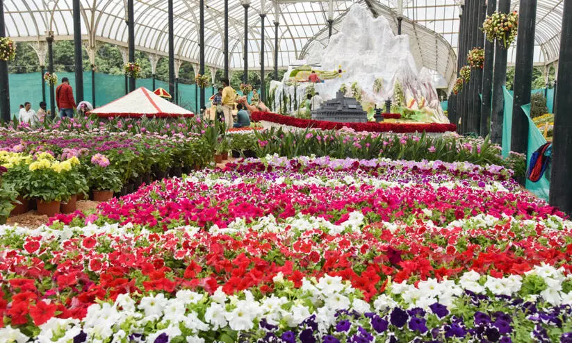 ooty flower show 89786