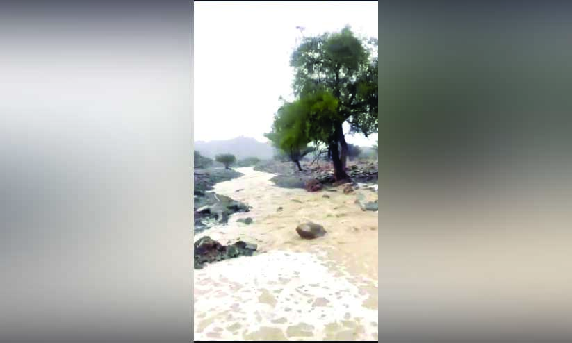 വിവിധ വിലായത്തുകളിൽ മഴ വിവിധ വിലായത്തുകളിൽ മഴ