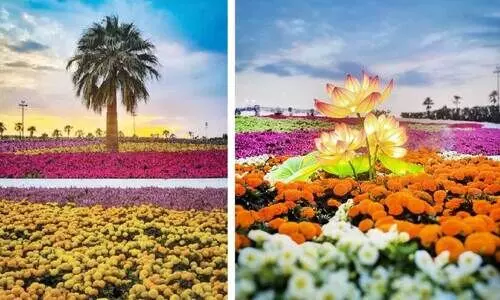 Yambu flower festival