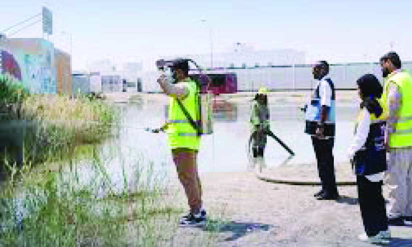 കെ​ട്ടി​ക്കി​ട​ക്കു​ന്ന വെ​ള്ളം; കൊ​തു​ക്​ പെ​രു​കു​ന്നു