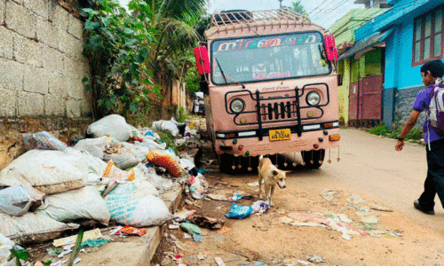 waste dumped near the road