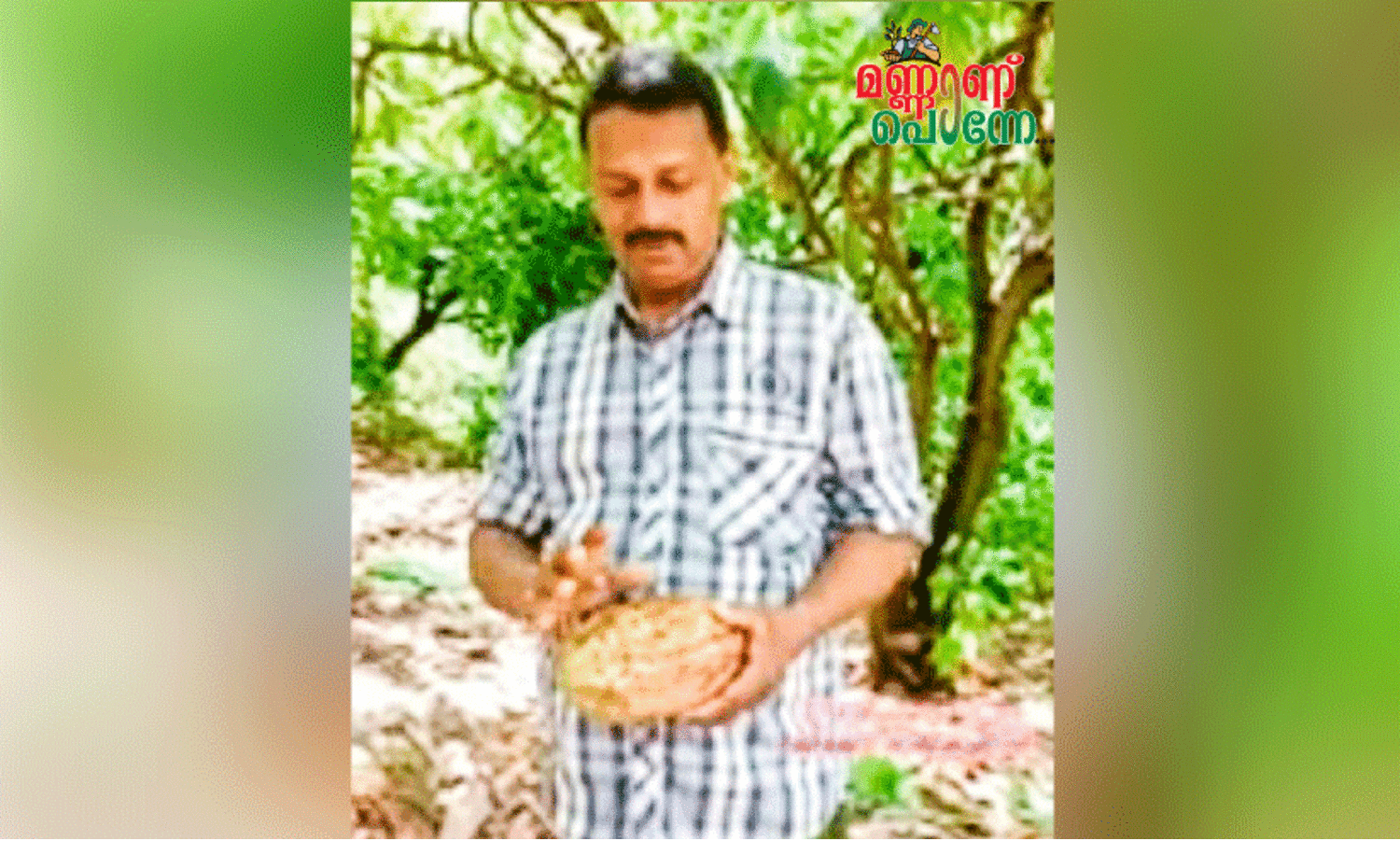 ഇതാ ഇടുക്കിയുടെ ചോക്ലേറ്റ്​ ഗ്രാമം