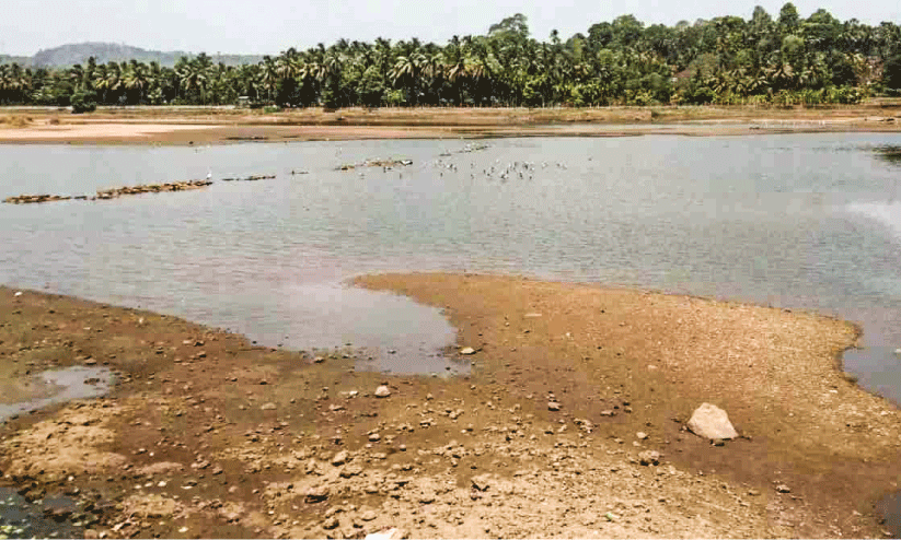 Drought Mills worried about shortage of drinking water