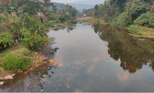 Meenachilar cleaned up