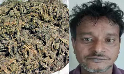 പശ്ചിമ ബംഗാൾ സ്വദേശിയെ 2.1 കിലോഗ്രാം കഞ്ചാവുമായി പിടിയിൽ