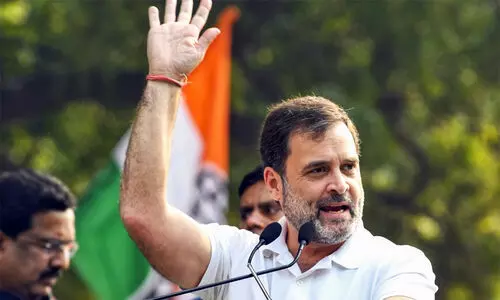 Rahul Gandhi may contest in Amethi