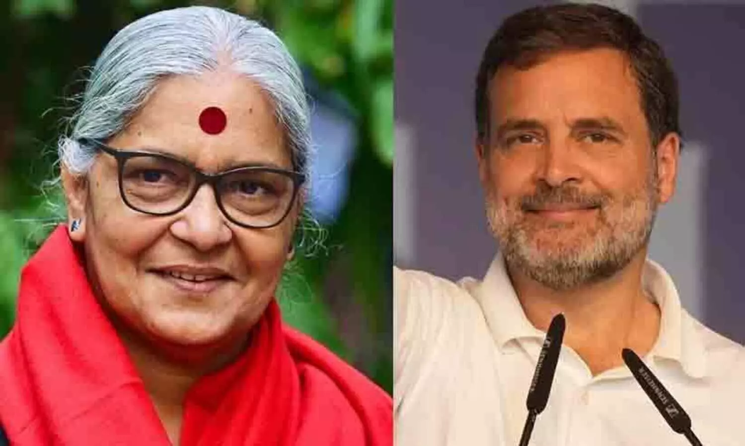 Annie Raja, Rahul Gandhi