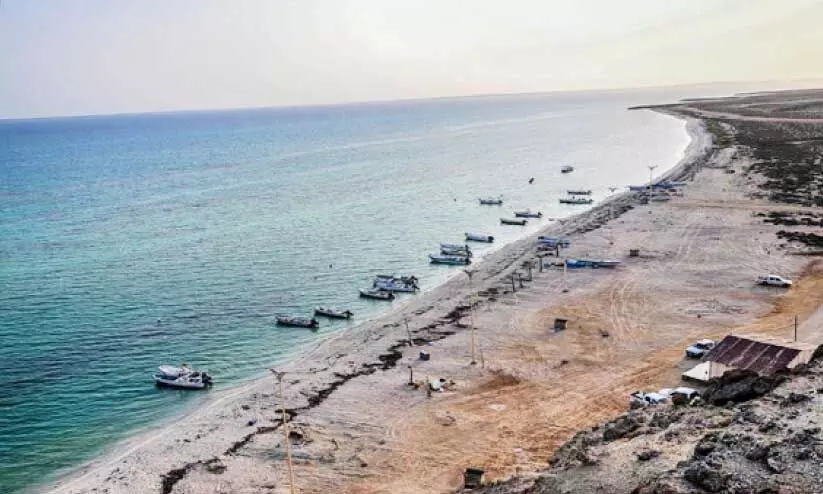 Fish festival Fish festival