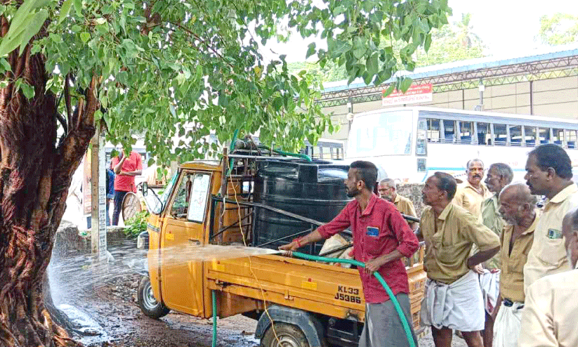 poured chemical on banyan tree