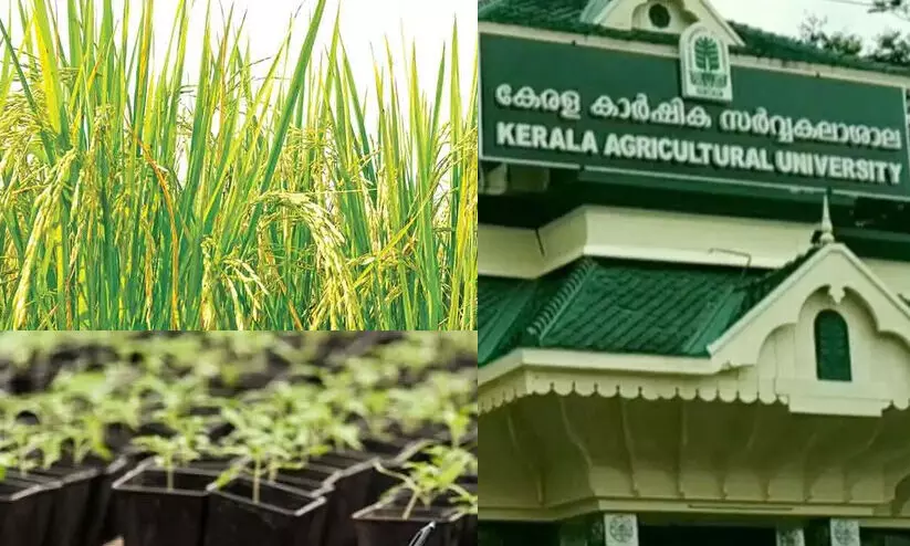 അഗ്രി ബിസിനസ് ഇൻക്യുബേഷൻ പ്രോഗ്രാം: അപേക്ഷകൾ ക്ഷണിച്ചു അഗ്രി ബിസിനസ് ഇൻക്യുബേഷൻ പ്രോഗ്രാം: അപേക്ഷകൾ ക്ഷണിച്ചു