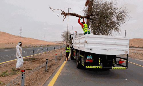 rain in Ras Al Khaimah