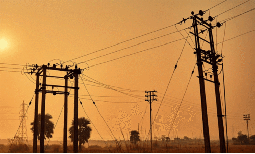 വൈ​ദ്യു​തി മു​ട​ക്ക​ത്തി​ൽ വ​ല​ഞ്ഞ് നാ​ട്ടു​കാ​രും ​ഉ​ദ്യോ​ഗ​സ്ഥ​രും