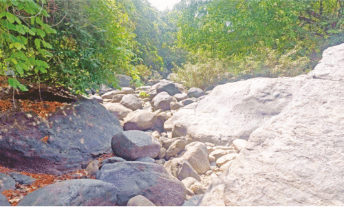 കുടിവെള്ളത്തിന് നെട്ടോട്ടം