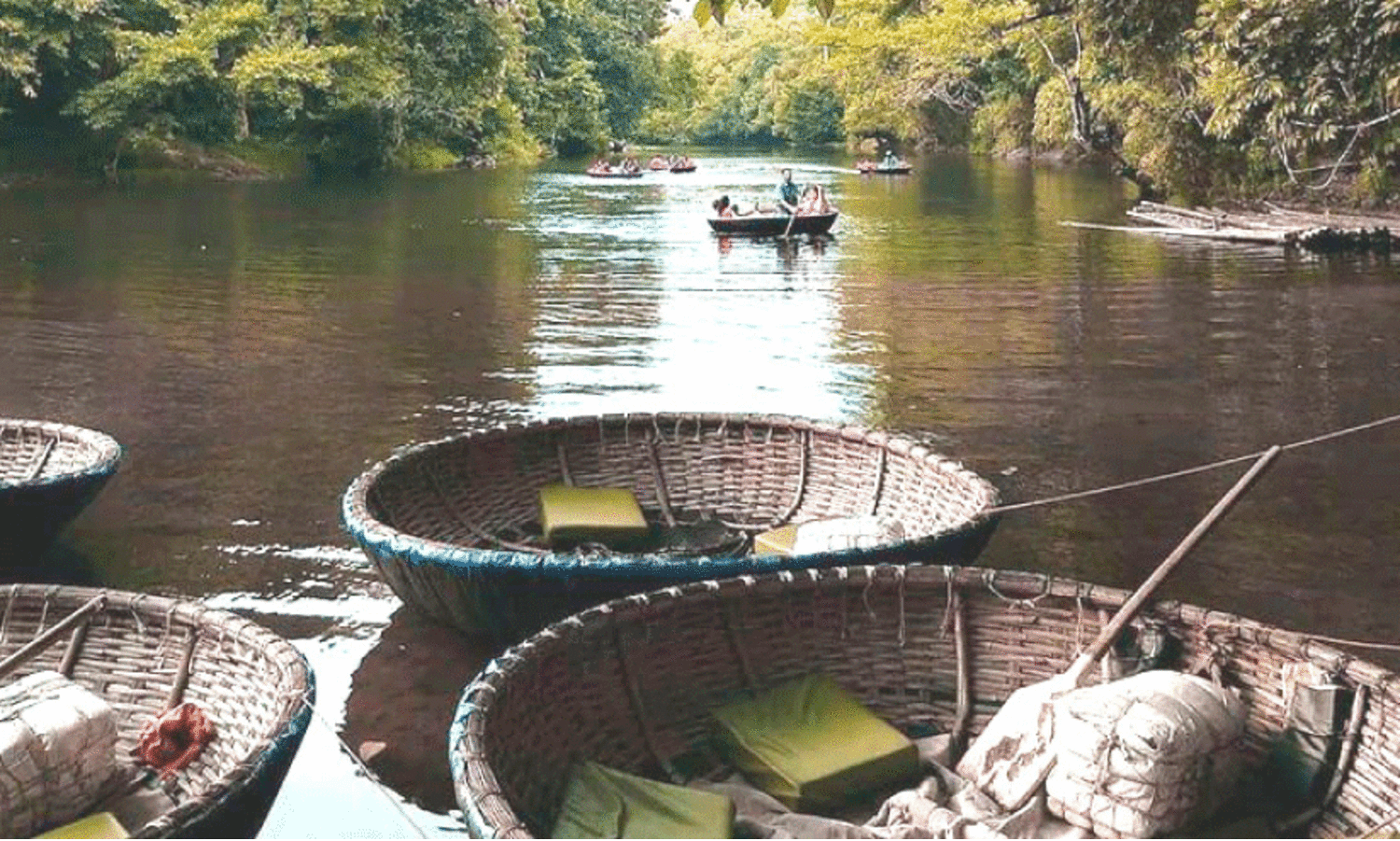സഞ്ചാരികളുടെ തിരക്കേറി; അവധിക്കാലം അടിച്ചു പൊളിക്കാൻ അടവിയും ആനക്കൂടും