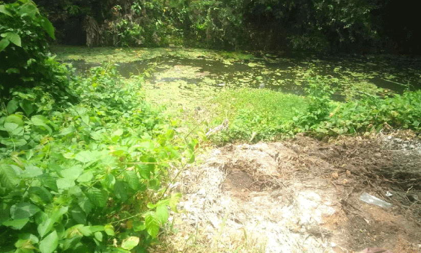 ഇനിയെത്ര മാലിന്യം തള്ളണം, അധികൃതർക്ക് കണ്ണുതുറക്കാൻ? ഇനിയെത്ര മാലിന്യം തള്ളണം, അധികൃതർക്ക് കണ്ണുതുറക്കാൻ?