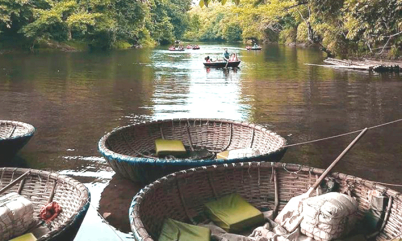 സഞ്ചാരികളുടെ തിരക്കേറി; അവധിക്കാലം അടിച്ചു പൊളിക്കാൻ അടവിയും ആനക്കൂടും