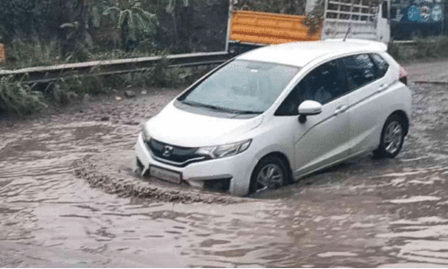 waterlogging waterlogging