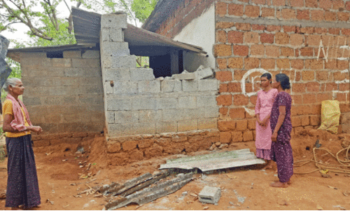 wild elephant attack