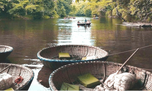 സഞ്ചാരികളുടെ തിരക്കേറി; അവധിക്കാലം അടിച്ചു പൊളിക്കാൻ അടവിയും ആനക്കൂടും