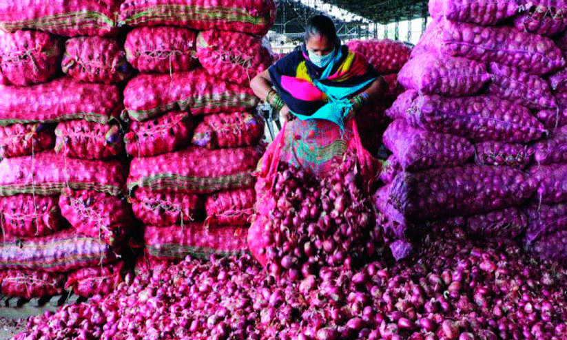 Export ban lifted; Indian onion will reach the market within ten days