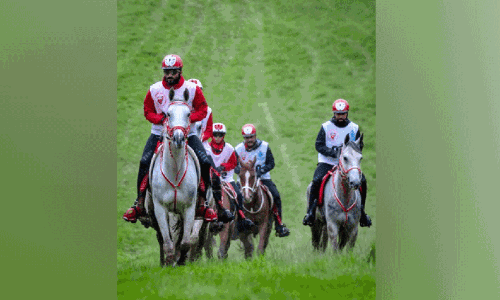 Windsor Horse Festival; Bahrain Royal Endurance Team win