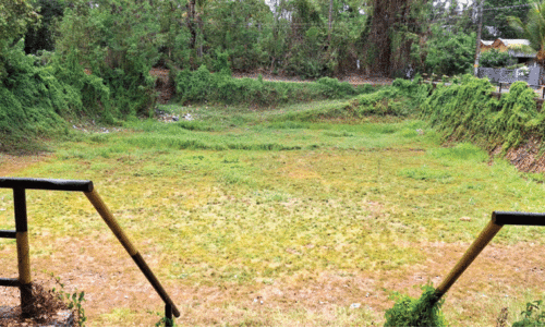 മ​റ്റ​ത്തൂ​രി​ല ചോ​ങ്കു​ളം