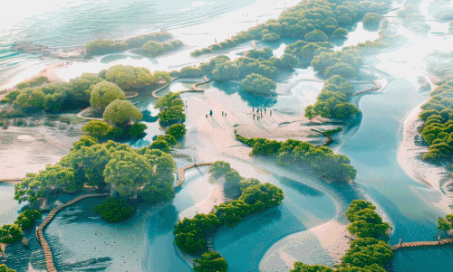 Project to green up the Dubai coastline