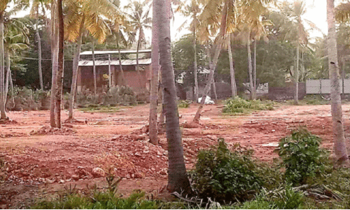 പോളച്ചിറ ഏലാ