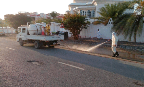 Scheme to combat mosquito menace after rain Scheme to combat mosquito menace after rain