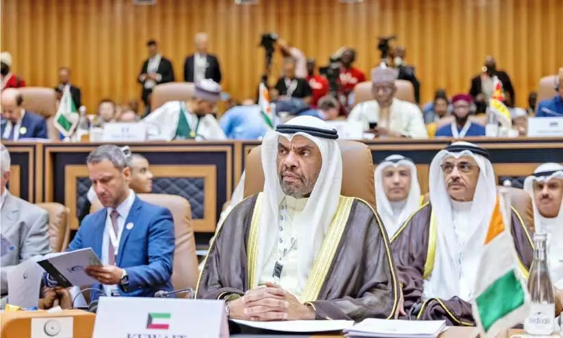 foreign minister at OIC summit