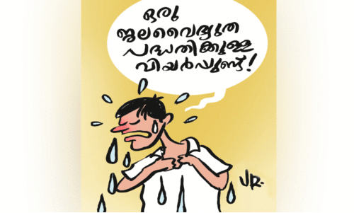 Electricity consumption