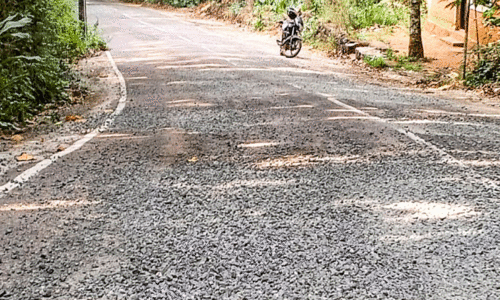 Nellikunn-Kezhuvamkulam road,