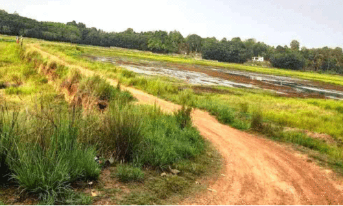 KP Road -MC Road bypass,