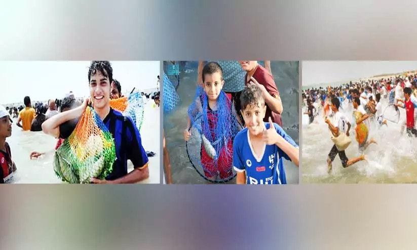 fish festival fish festival