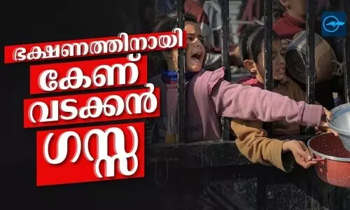 ഭക്ഷണത്തിനായി കേണ് വടക്കൻ ഗസ്സ