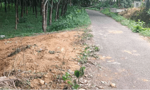 canal waste dumped at residential area