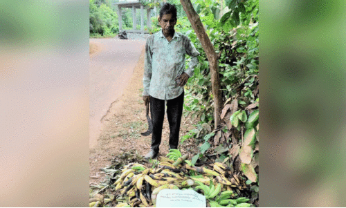 കെ.​പി. ശ്രീ​ധ​ര​ൻ