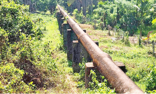 ക​ണ്ണി​പ്പൊ​യി​ൽ കൈ​ക്ക​നാ​ൽ